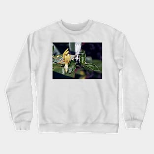 LE PANASONIC FZ 200 PAR OKAIO CRÉATION Crewneck Sweatshirt